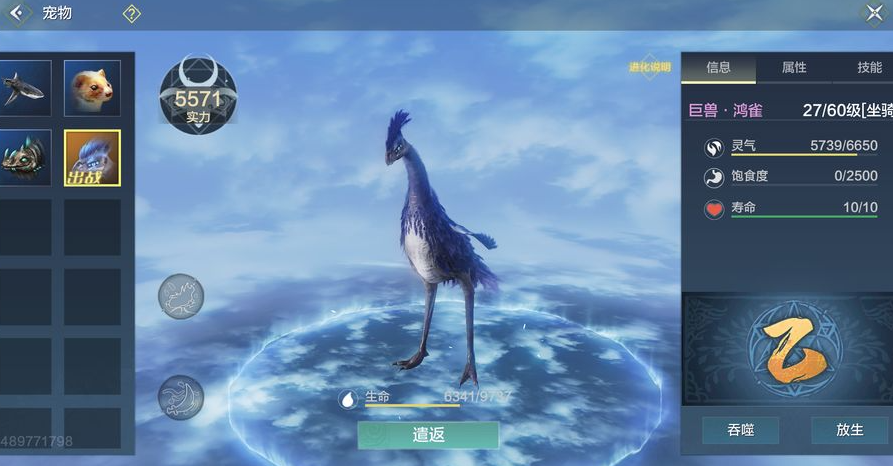 妄想山海手游宠物技能强度排名：最值得培养的宠物推荐解析